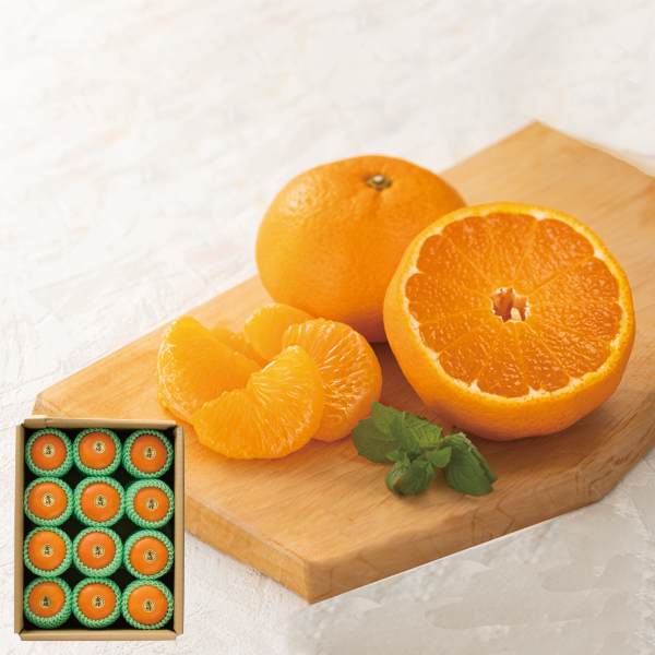 ߏ_ ËvY ly͂ԁF12{`z